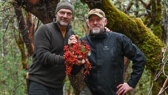 Episode 8 Oak & Madrone