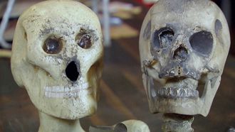 Episode 6 Creepiest Collections