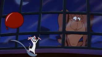 Episode 36 Broadway Malady