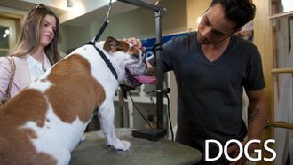 Episode 2 He Barks and He Barks and He Barks