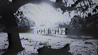 Episode 10 Noon Wine