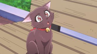 Episode 10 Cat Got My Tongue?! A Heart-Pounding Transformation!
