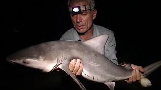Episode 7 Freshwater Shark