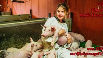 Episode 35 L'Emmerdeuse: Une vie de cochon