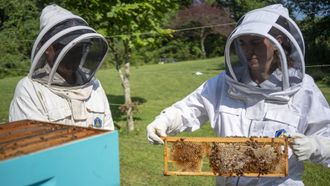 Episode 3 Honey