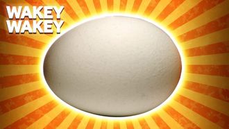 Episode 24 The Real Reason Eggs Are In EVERYTHING We Eat
