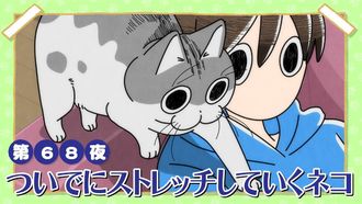 Episode 68 Night 68: A Cat Who Takes Time to Stretch