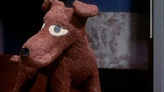 Episode 10 Dog Show