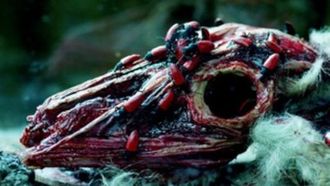Episode 7 Part Seven