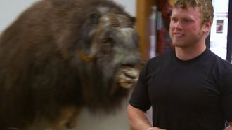 Episode 4 Bear Problems