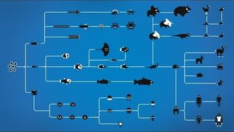 Episode 1 How Evolution Works