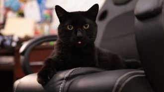 Episode 10 Trouble with Tater