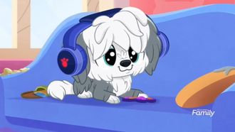 Episode 26 Paw It Forward