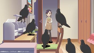 Episode 7 Birds