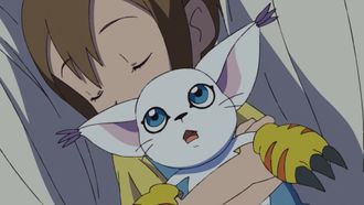 Episode 34 Hikari and Tailmon