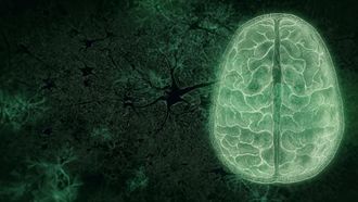 Episode 10 Your Brain: Who's in Control?