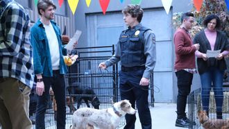 Episode 9 Dogs and Geese