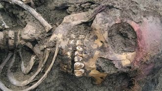 Episode 7 Grave of the Red Skulls
