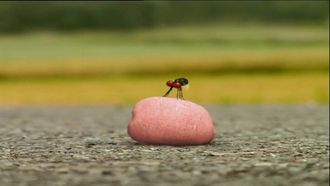 Episode 45 Chewing Gum