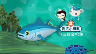 Episode 5 Octonauts and the Walrus Pups