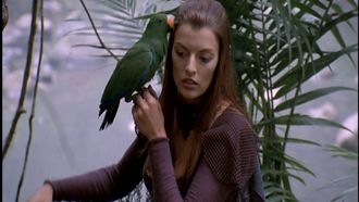 Episode 18 Birds