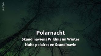 Episode 2 Polar Night