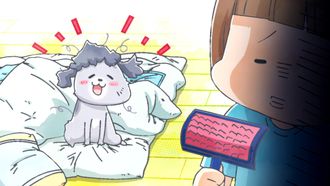 Episode 21 Brushing