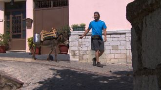 Episode 8 Good Job, Donkey