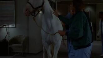 Episode 7 Genevieve and Fat Boy