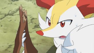 Episode 37 A Broken Twig and a Broken Heart! Tairenar's Strong Feelings!!