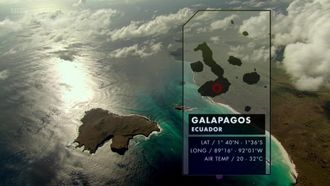 Episode 1 Gálapagos