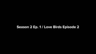 Episode 1 Love Birds Episode 2