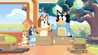 Episode 24 Flat Pack
