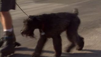 Episode 17 Bodhi, Maggie & Molly, and Bojo