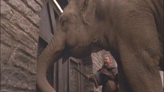 Episode 22 Clash of the Titans