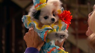 Episode 16 Stan has Puppies (2)