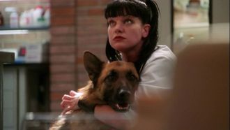 Episode 14 Internal Affairs