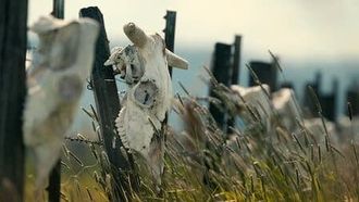 Episode 8 Mysterious Mutilations