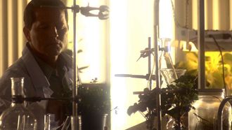 Episode 7 Plant Evidence