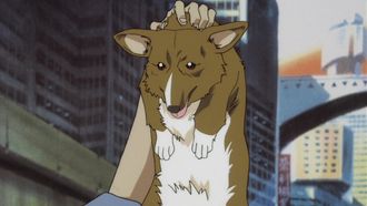 Episode 1 Stray Dog Strut