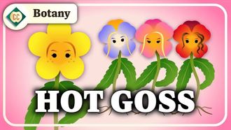 Episode 12 The Secret Social Lives of Plants (Population & Community Ecology)