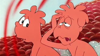 Episode 19 Les os et le squelette