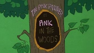 Episode 12 Pink in the Woods