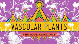 Episode 37 Vascular Plants