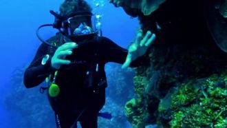Episode 6 Reef Madness