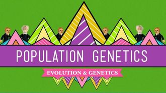 Episode 18 Population Genetics