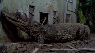 Episode 23 Attack of the Alligators!