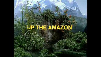 Episode 9 The Amazon