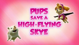 Episode 9 Sea Patrol: Pups Save Their Pirated Sea Patroller