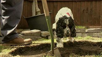 Episode 5 Garden Transformations in Bury & Hackney